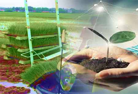Applications of Wireless Technologies in Weather Forecasting and Monitoring